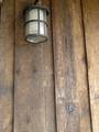 Mushroomwood Siding / This siding is the back (less weathered) face of the mushroomwood